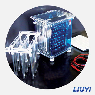 北京六一DYCZ-40A轉(zhuǎn)印電泳儀(大號(hào))