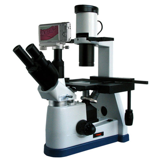 BM-37XBS倒置生物顯微鏡（數碼）