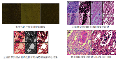 彩譜臺式分光測色儀CS-820N原理